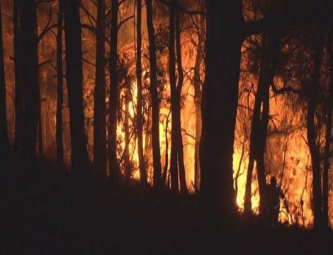 İzmir’deki orman yangınında 2 bin kişi tahliye edildi