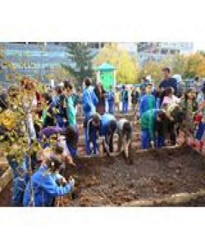 Kadıköy'de çocuklar ektiklerini yiyecek