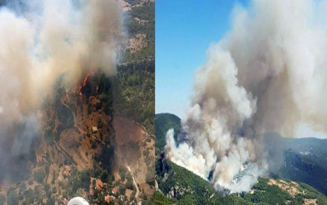 Muğla, Zeytinköy'de orman yangını söndürülemiyor