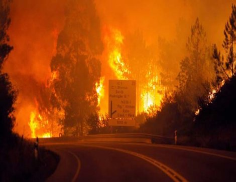 Portekiz İçişleri Bakanı orman yangınları nedeniyle istifa etti