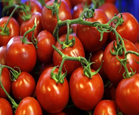 'Rusya ve Türkiye domates konusunda prensip anlaşmasına vardı'