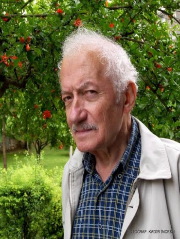 Şiir, eleştirmeni Mustafa Öneş'i yitirdi