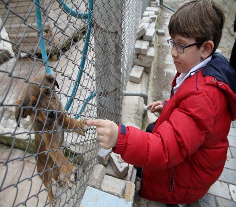 Sokaktan sıcak yuvaya