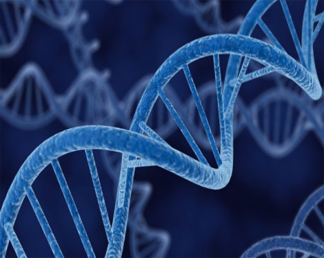 Tarihin en geniş gen araştırması başlıyor: 1 milyon gen 'didiklenecek'