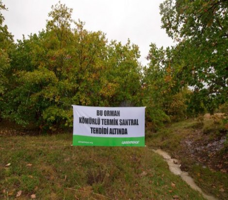 Trakya’daki termik santralin yeri ormana kaydırıldı