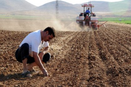 AKP tarımı 15 yılda çökertti