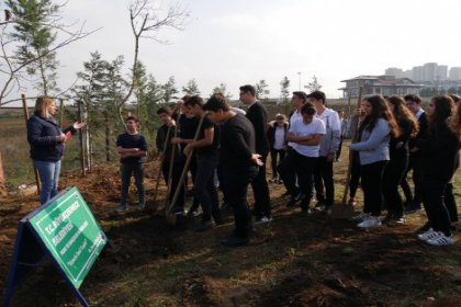 Büyükçekmece’de yüzlerce ağaç daha toprakla buluştu