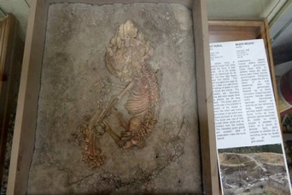 Çatalhöyük'teki 9 bin yıllık iskeletler müzede sergileniyor