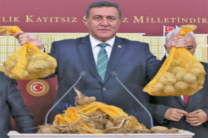 CHP'li Gürer: 86 adet patates tohumu çeşidinden sadece 5 tohumu Türkiye'ye ait
