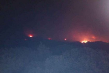 Didim'de yangın: 8.5 hektar makilik alan küle döndü