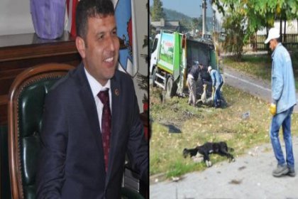 Gündüz hayvansever takılan AKP'li başkan geceleri köpek katliamı yaptırıyor!