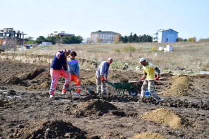 İstanbul'un en sıradışı ormanı Beylikdüzü'nde yükseliyor