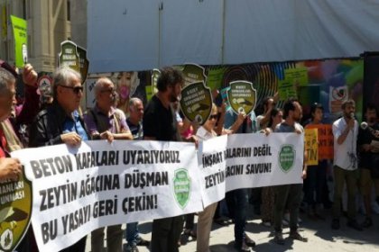 Kuzey Ormanları Savunması: Sokakta, mecliste zeytin ağacını savun!