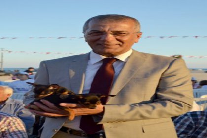 Mezitli Belediyesi’nden sokaktaki dostlarımıza yuva