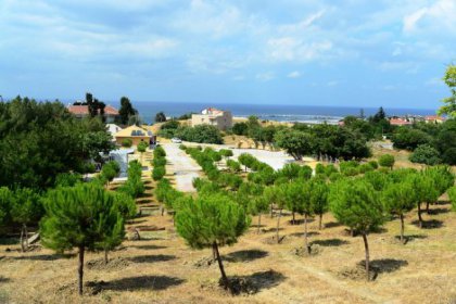 Minikler, İzci Kampında 'Survıvor' olacak