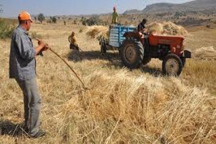 Referandum öncesi çiftçilere 2 milyar 118 milyon liralık destek