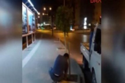 Reklam panolarını kapatıyor diye ağaçları kestiler