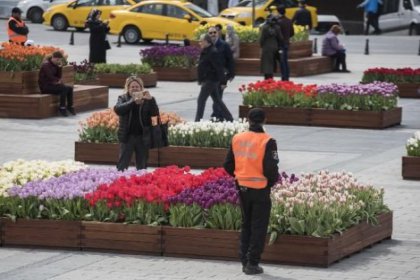 Taksim'deki laleler özel güvenlik ile korunuyor