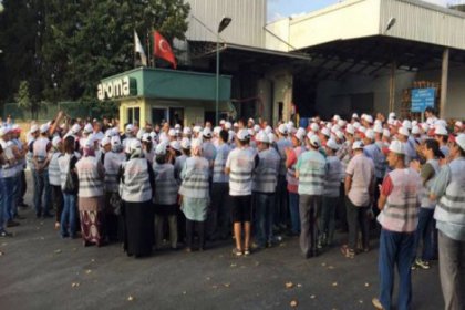 Tek Gıda-İş Sendika üyesi işçilerden grev kararı!