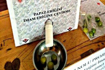 TÜBİTAK’tan imam hatiplere ödül yağdı