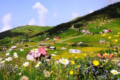 Yayla turizminin yeni adresi: Tonya