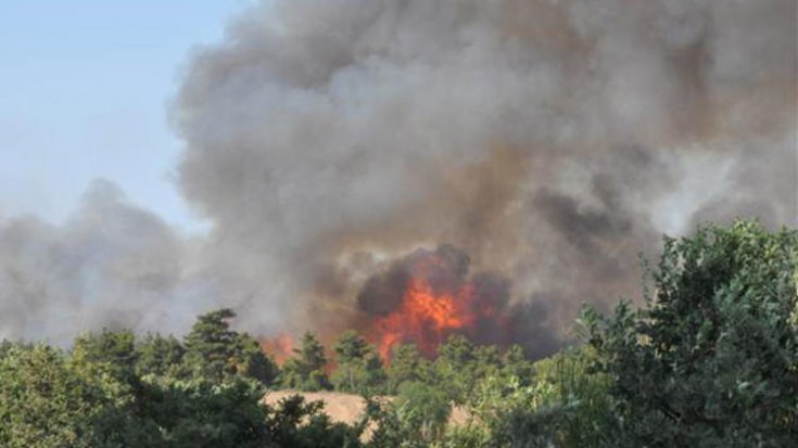 2015'ten bu yana 29 bin hektar ormanlık alan yandı