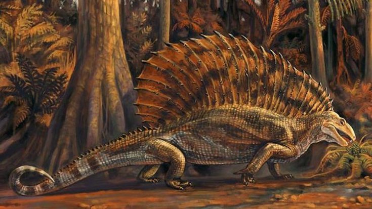 ABD'de 300 milyon yıllık otobur sürüngen fosili bulundu