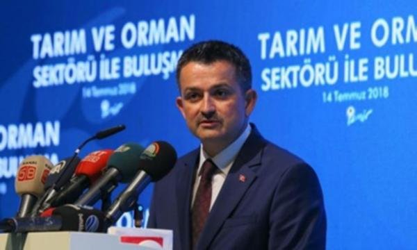 AKP'de küskünlerin gönlü böyle alınıyor: 'Vekil olamadınsa bürokrat ol'