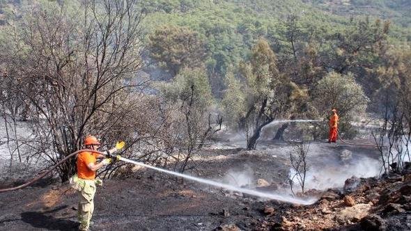 Antalya Gazipaşa'da orman yangını