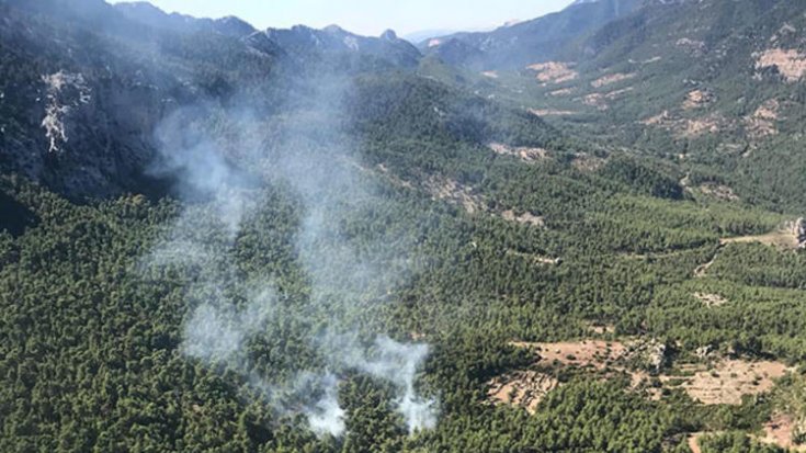 Antalya Serik’te orman yangını