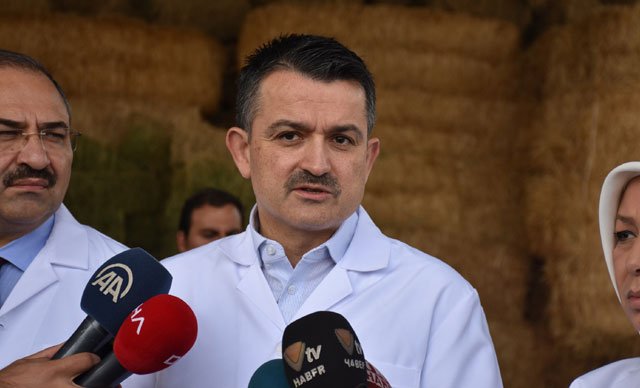 Bekir Pakdemirli: 2019 yılında çiftçiye desteği 16,1 milyar TL'ye çıkarıyoruz