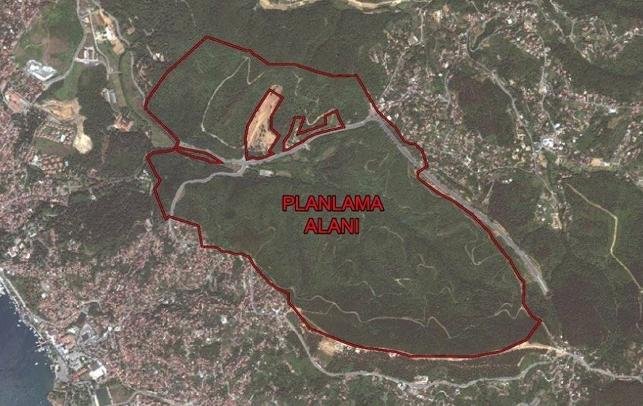 Beykoz'da 554 villaya izin çıktı: En az 5 bin ağaç kesilecek