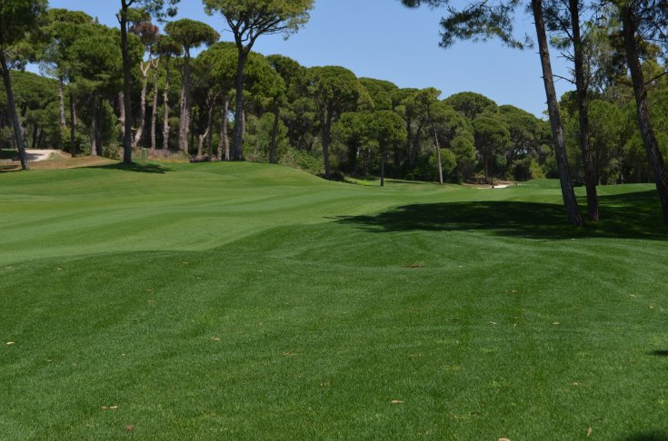 Beykoz'da ormanlık alan 'golf sahası' için imara açılıyor