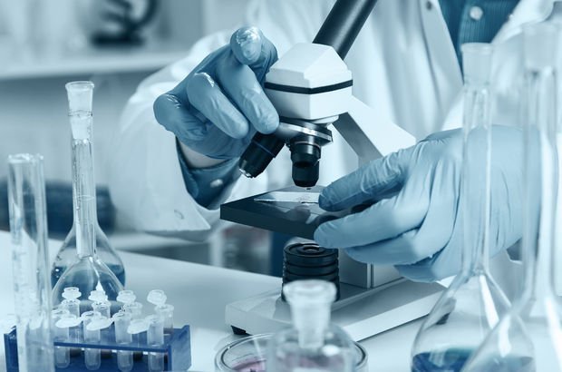Bilim insanları insan vücudunda yeni bir organ keşfetti Bilim insanları insan vücudunda yeni bir organ keşfetti