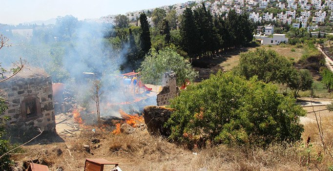 Bodrum'da otluk ve makilik alanda yangın