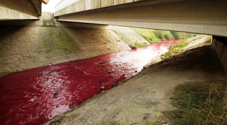 CHP'li vekillerden 'kırmızı' akan Ergene Nehri için araştırma önergesi
