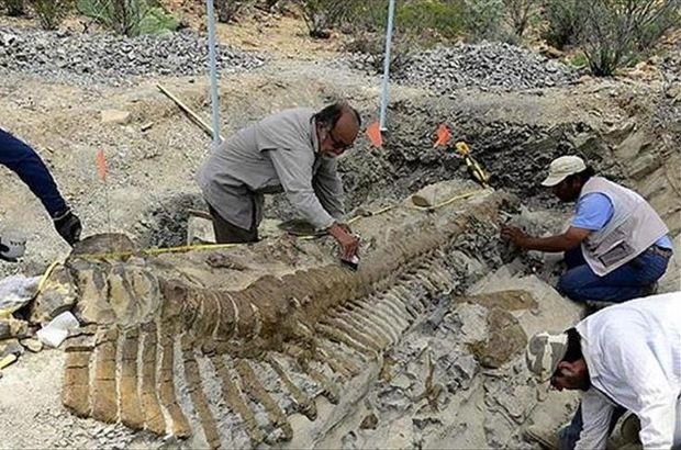 Çin'de 174 milyon yıllık dinozor fosili ortaya çıktı Çin'de 174 milyon yıllık dinozor fosili ortaya çıktı
