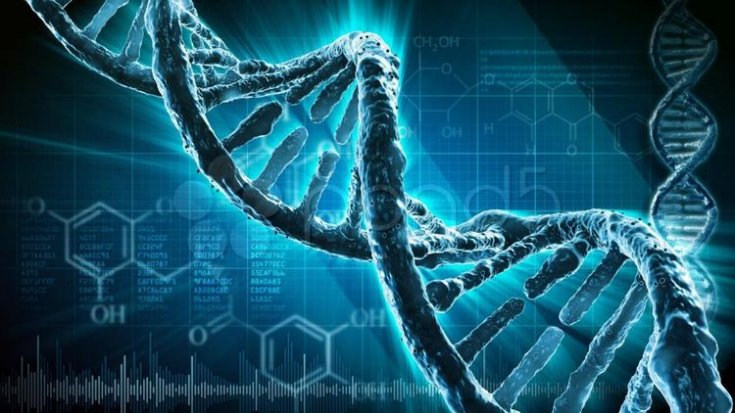 'Çocuklukta cinsel taciz, DNA'yı da değiştiriyor' 'Çocuklukta cinsel taciz, DNA'yı da değiştiriyor'