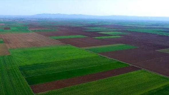 Danıştay'tan Alpu ovasına yapılmak istenen kömür madenine 'ÇED gerekli' kararı