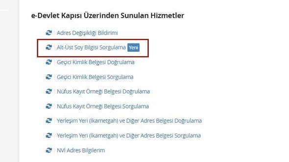 e-Devletten soyağacına bakıp göçmen olduğunu öğrenen yurttaşlar çifte vatandaşlık için harekete geçti e-Devletten soyağacına bakıp göçmen olduğunu öğrenen yurttaşlar çifte vatandaşlık için harekete geçti