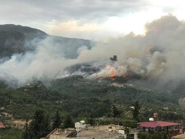 Hatay'da orman yangını