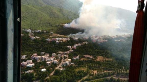 Hatay'da orman yangını