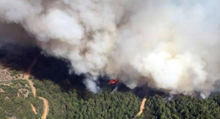 İzmir’de orman yangını: 45 hektarlık alan küle döndü