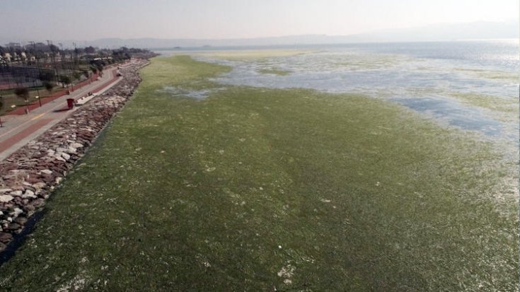 İzmir’deki görüntüyle ilgili korkutan uyarı: Önlem alınmazsa deniz kıyısında yürüyenler zehirlenebilir