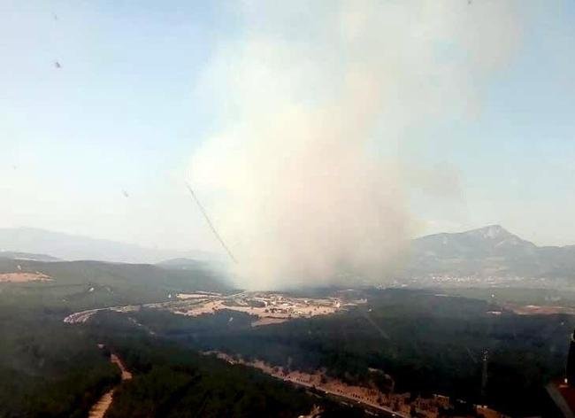 İzmir'in Buca ilçesinde orman yangını