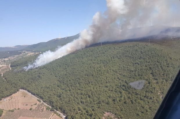 Manisa'nın Soma ilçesinde orman yangını