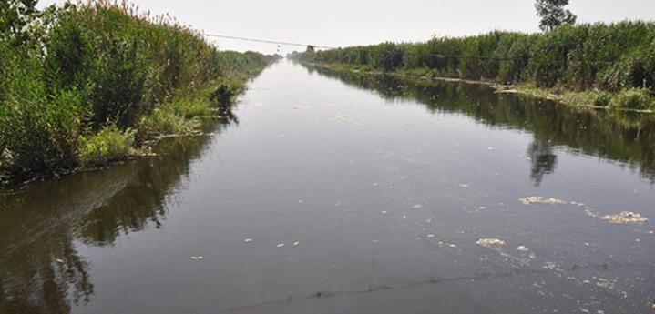 'Menderes nehri fabrikaların, maden ocaklarının, JES’lerin 'atık nehri' haline geldi'