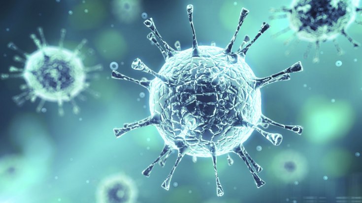 Sağlık Bakanlığı raporuna göre bu kışın belası 'gergedan virüsü'