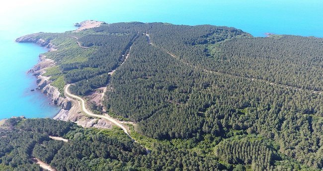 Sinop Nükleer Santral Projesi'nin maliyetleri iki katına çıktı