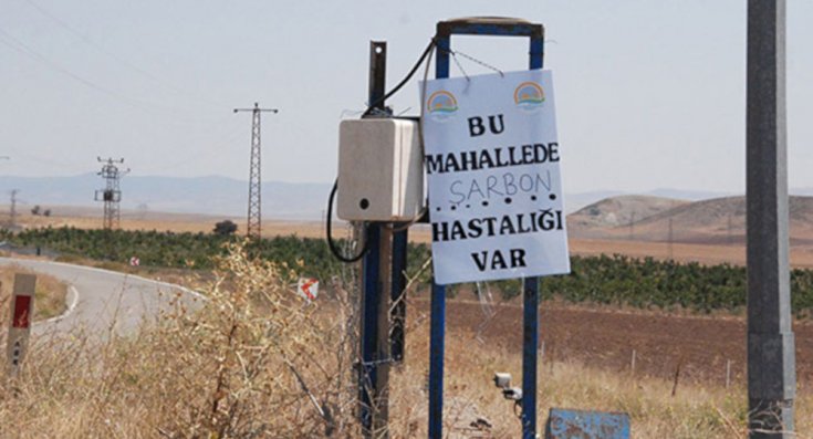 Tarım ve Orman Bakanlığı, Ankara'daki şarbon vakasıyla ilgili inceleme başlattı